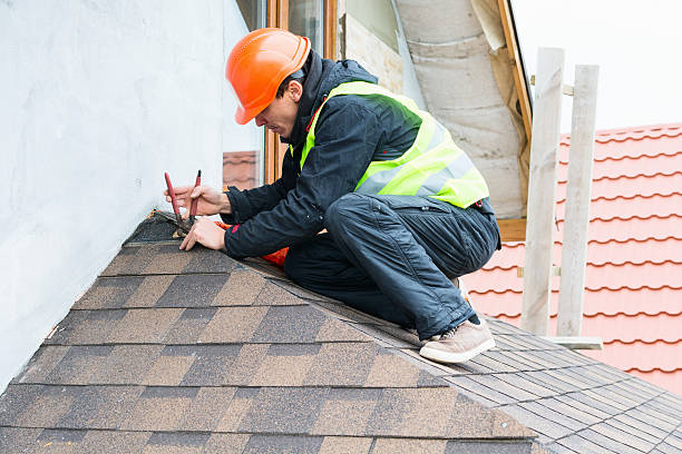 Best Roof Gutter Cleaning  in Smiths Station, AL